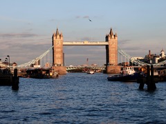 智库称英国政府面临债务危机