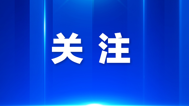 【学习贯彻四中全会精神·一线见闻】灵巧手里的创新密码