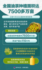 （图表）全国油茶种植面积达7500多万亩