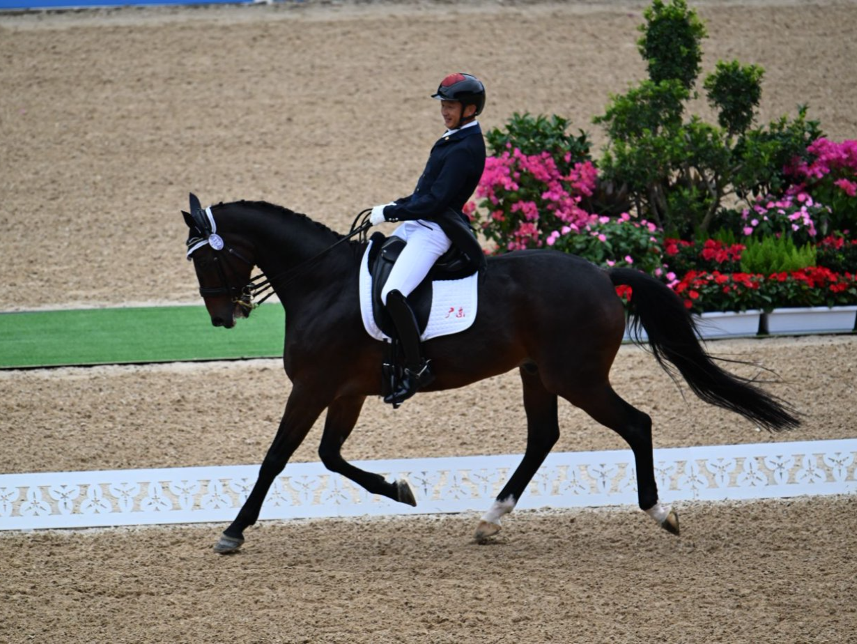 十五运会马术三项赛盛装舞步开赛 广东梁锐基领跑 江苏暂居团体榜首