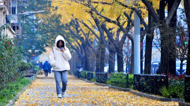 温度记｜气温先升后降，最低13℃！今年下半年首场寒潮来袭，深圳将“一夜入冬”