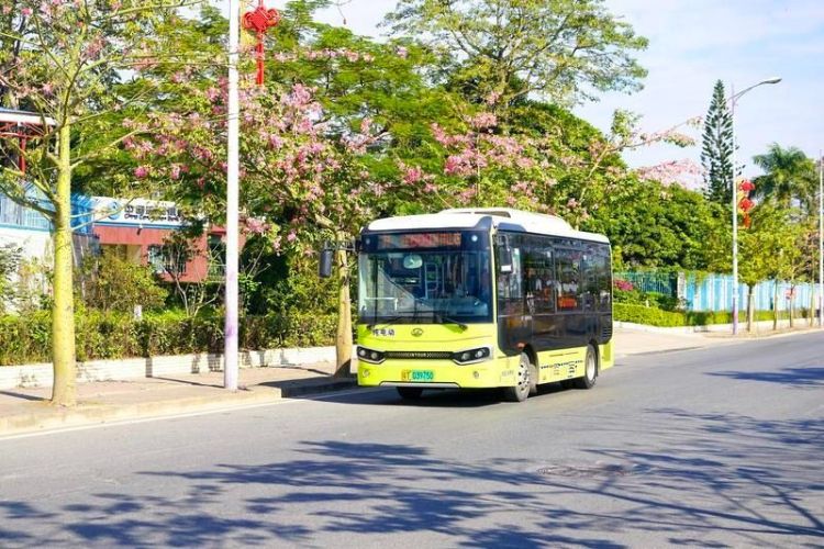 覆盖率达96.4%！中山这个项目入选全国优秀案例