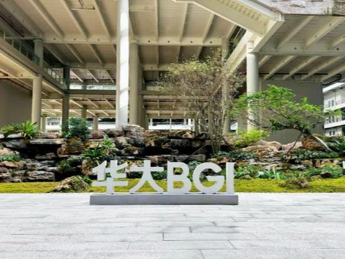 4人入选2025年度“全球高被引科学家”名单,华大科研人员已连续11年在榜