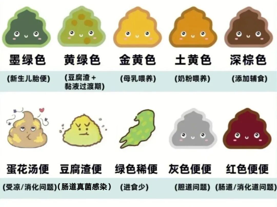 专家科普｜娃一天拉几次才正常？