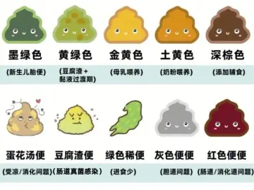 专家科普|娃一天拉几次才正常?
