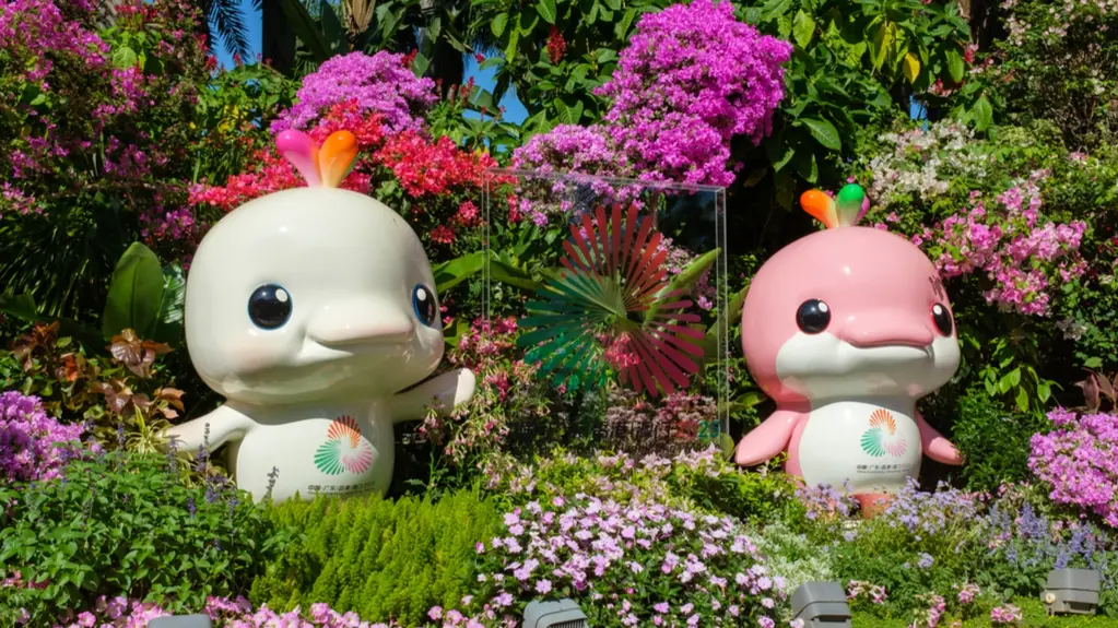 极限挑战！全运会“特种兵”一日打卡三城赛事