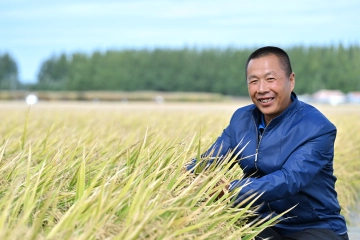 我的“十四五”｜秦玉秋：稻田里的“丰收梦”