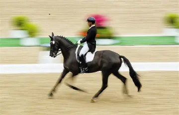十五运会马术项目盛装舞步个人赛决赛今日举行