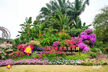 十五运热评｜玩转“赛事+旅游”，深圳是“有点东西”的