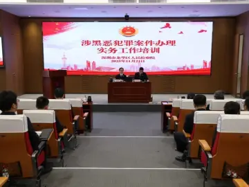 龙华区检察院举办扫黑除恶专题培训