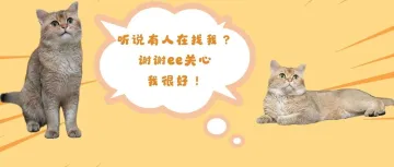 谁丢了小可爱？长这样！