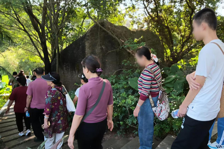 自然是最好的疗愈师！簕杜鹃谷藏着西乡流塘社区的暖心守护