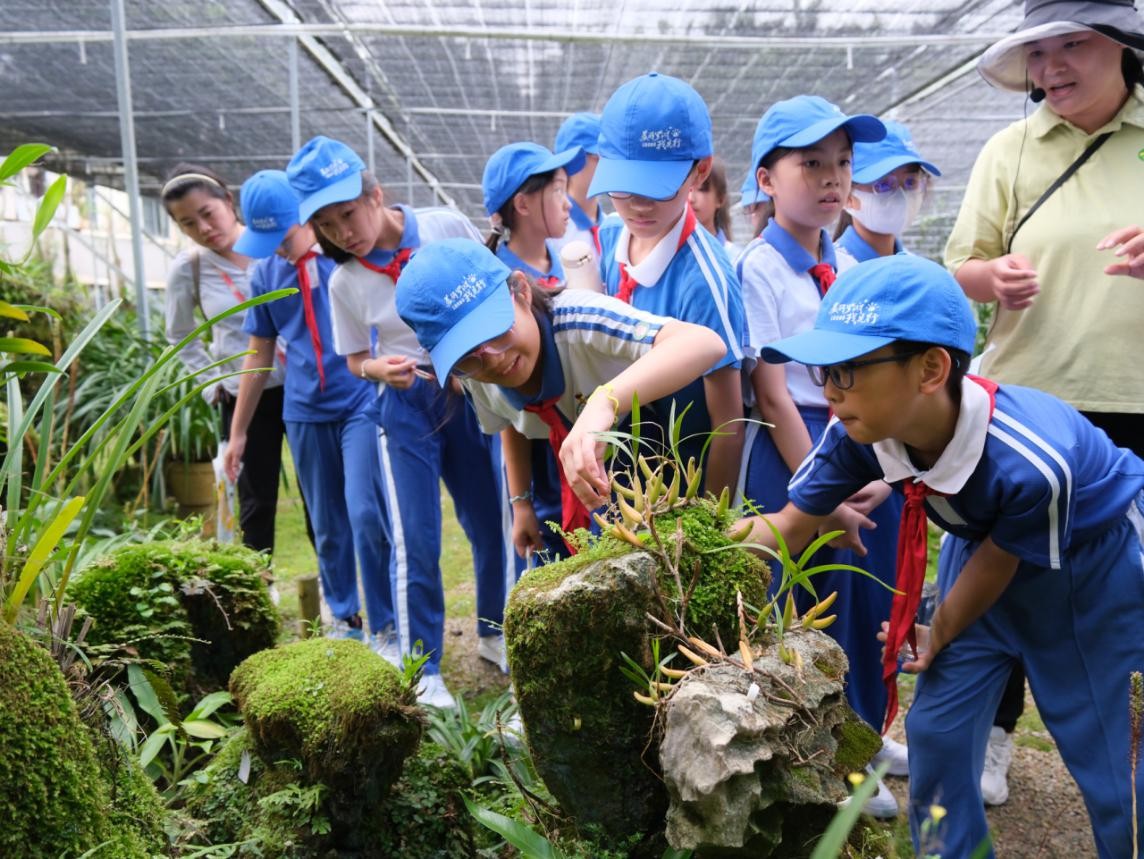 罗湖创新生态教育闭环：十万平方米课堂书写绿色答卷