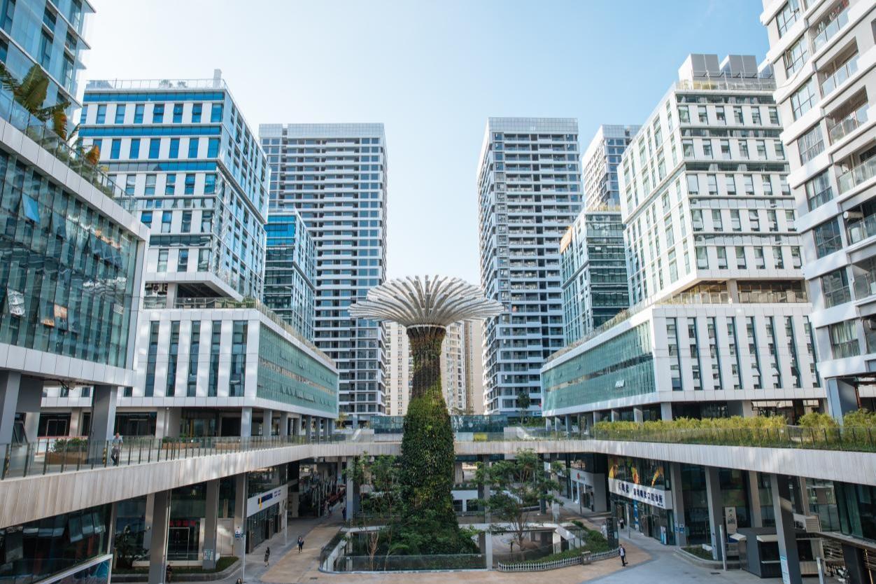 打造“科创引力场”,首届深圳湾科技周将于12月上旬启幕