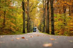 （外代二线）（5）欧洲秋日