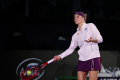 （体育）（8）网球——WTA年终总决赛：莱巴金娜晋级决赛