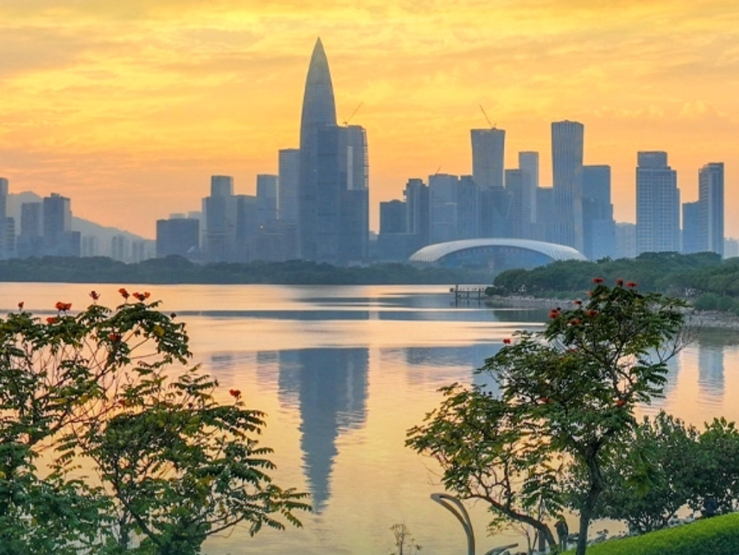 蝴蝶、候鸟都来“打卡”！深圳打造人与自然和谐共生可持续发展先锋