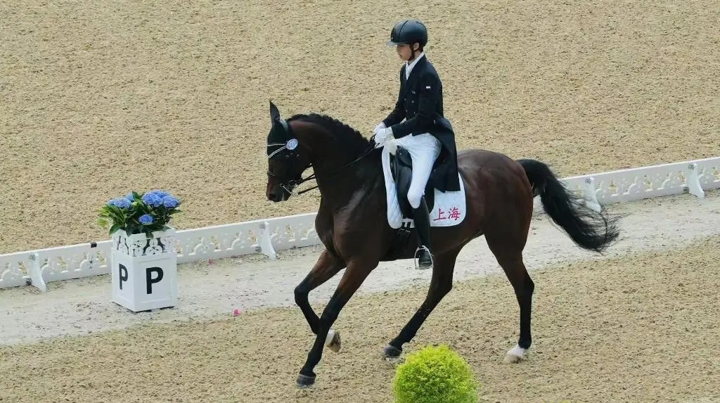 少年当“燃”！上海队揽十五运会马术盛装舞步团体金牌，广东队获得铜牌