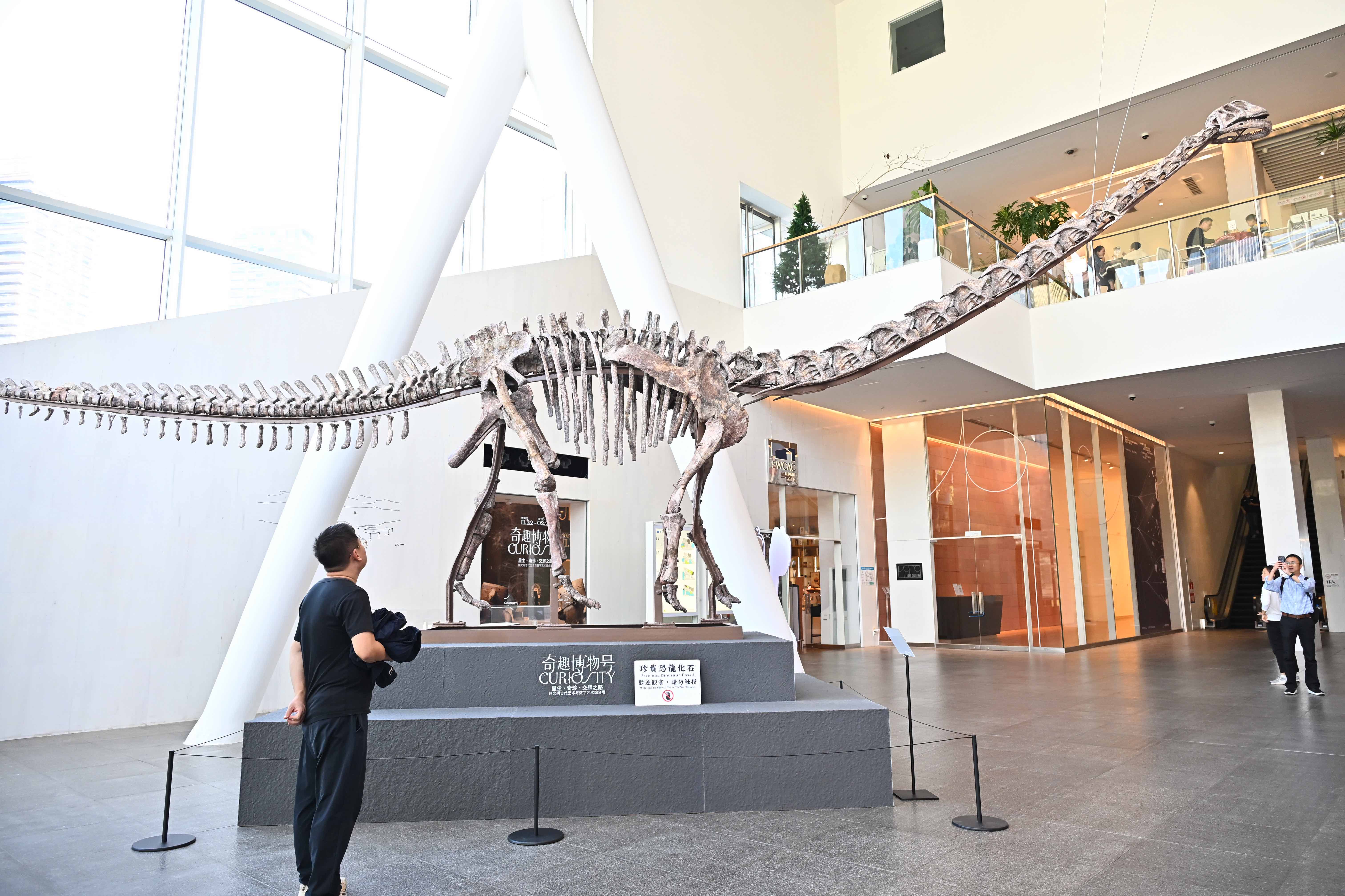 巨型恐龙骨架空降鹏城！“奇趣博物号——跨文明古代艺术与数字艺术综合展”启航