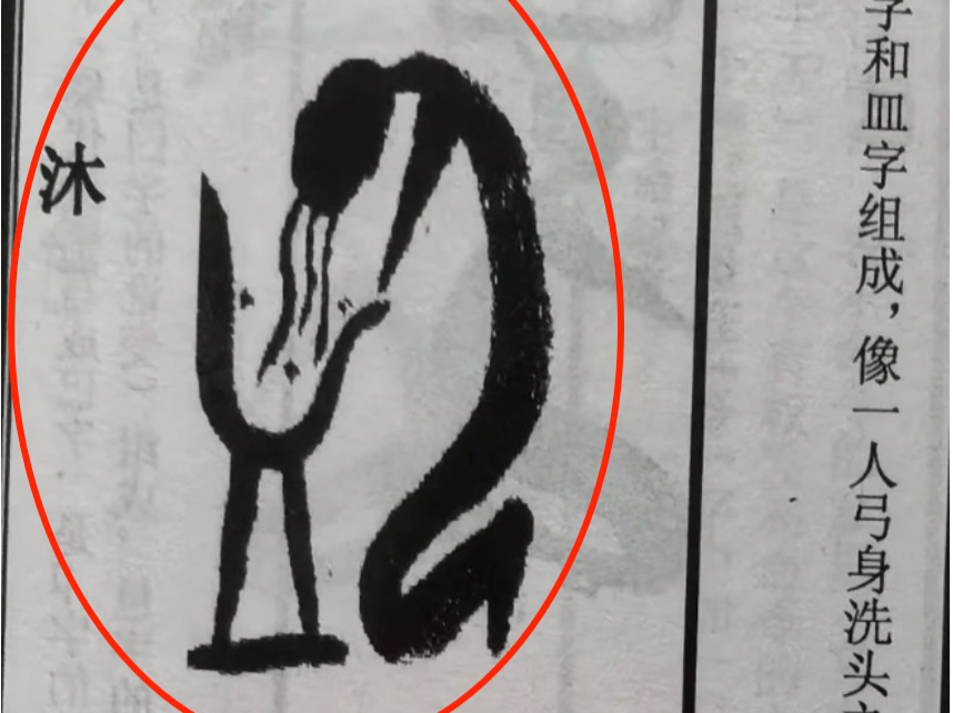 甲骨文字形看似“洗头”走红网络，专家：可能来自书法创作