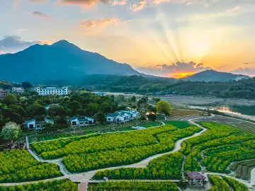 擦亮环万绿湖世界级“湖泊+”文旅品牌 第四届广东民宿大会在东源举行