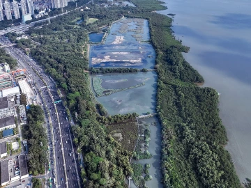 美丽深圳·每日一图|2025年11月5日