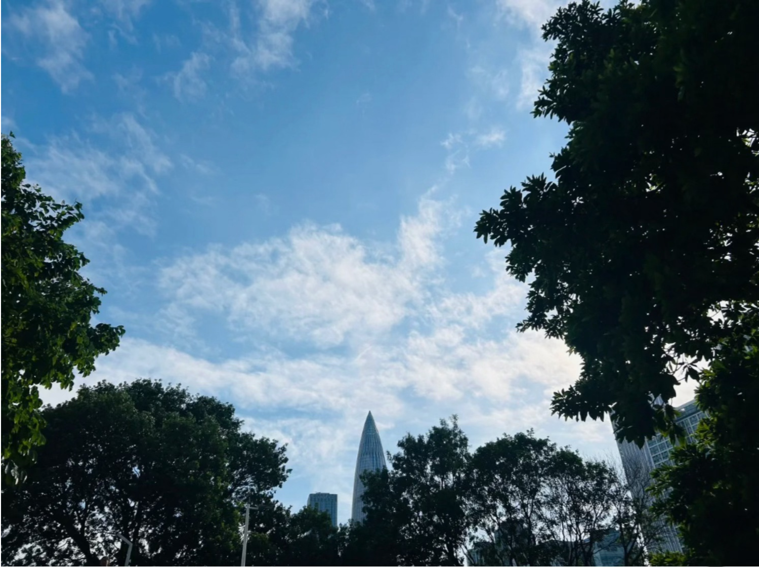 温度记｜珍惜好秋光！冷空气还在“赶路”南下，深圳多云间晴宜出游