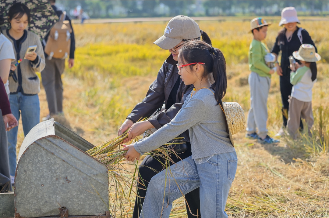 “动物粑粑”里种出大产业,长隆创新推动“文旅+农业”融合助力乡村振兴