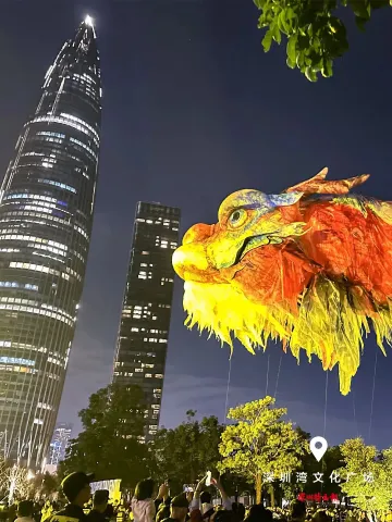 美丽深圳·每日一图｜2025年11月23日