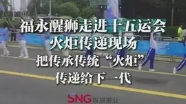 湾视频丨福永醒狮走进十五运会火炬传递现场 把传承传统“火炬”传递给下一代
