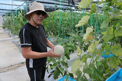 中国技术助力文莱农业生产（1）