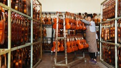 魅力山乡｜提琴产业助力京郊小镇多元发展