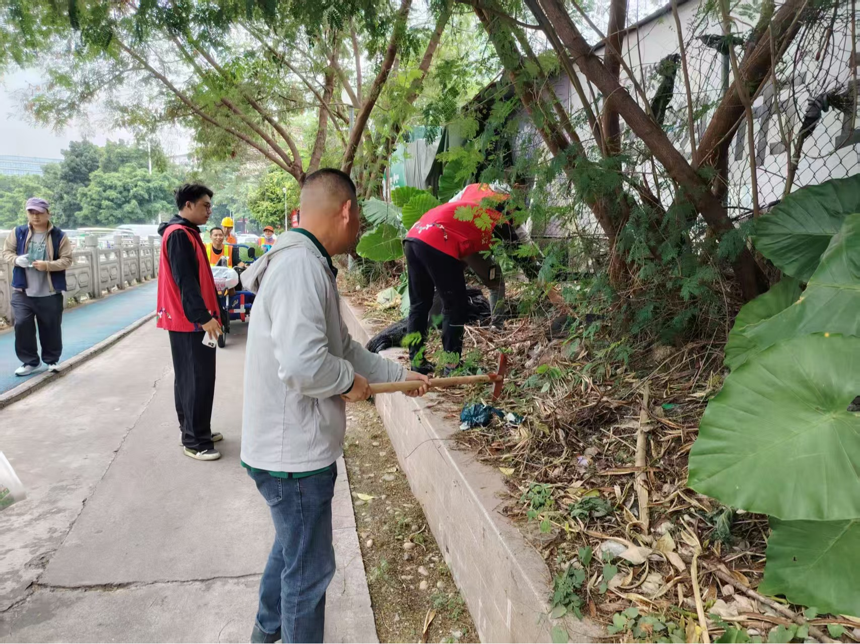 西乡固兴社区“美颜”升级 多方联动扮靓家园迎盛会