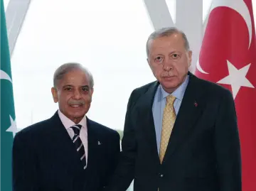 土耳其总统支持巴基斯坦与阿富汗对话 呼吁维护停火成果