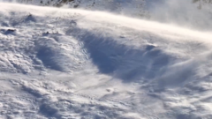 雪山映林海 新疆特克斯远冬牧场藏苍茫之美