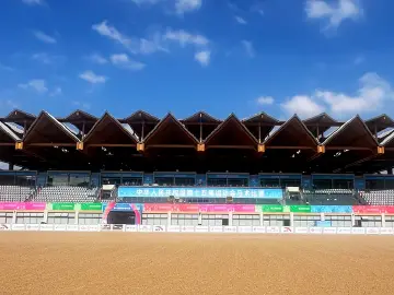 十五运马术项目谁是“梦之队”?广东队“奥运父子”领衔