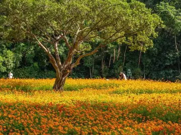 美丽深圳·每日一图|2025年11月30日
