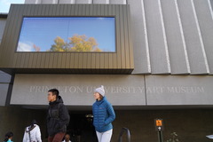 美国普林斯顿大学艺术博物馆重新开放（1）