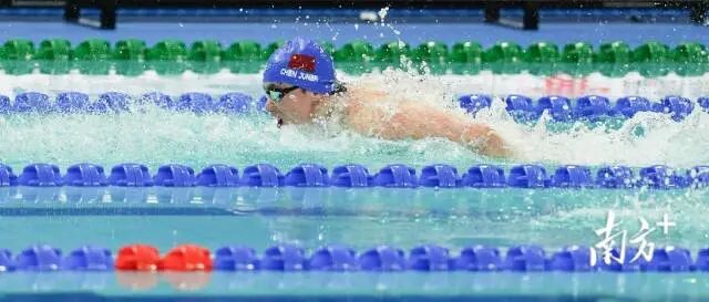 11月16日晚，在男子200米蝶泳决赛中，广东队陈俊儿在前150米一路领先，却在最后50米被反超，以1分56秒83遗憾获得铜牌。钟志辉 摄