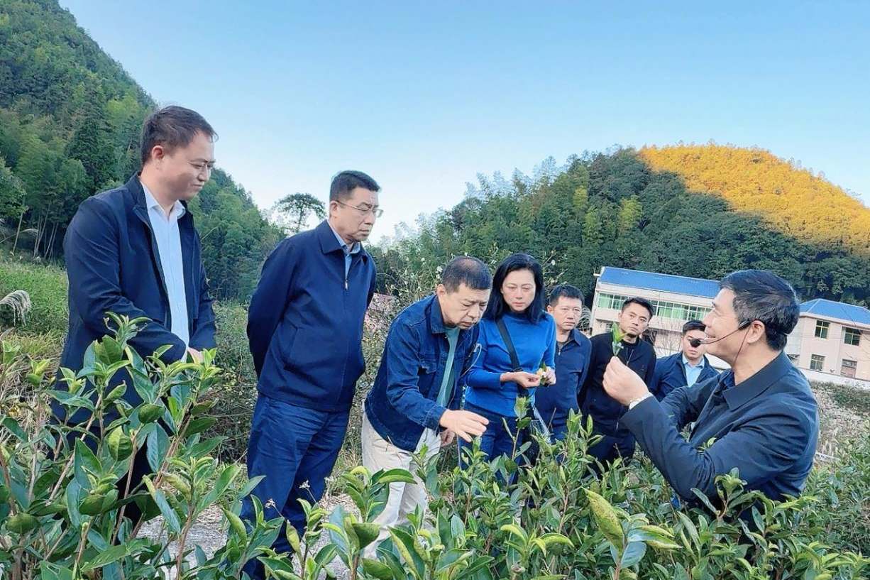 福田街道携手企业赴兴国枫边乡调研对接 以产业赋能推动乡村振兴走深走实