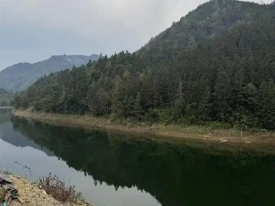 贵州黔东南“12·2”较大沉船事故调查报告公布，5家单位及多人被追责问责