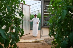 中国设备助力科威特沙漠农场主的绿色田园梦（2）