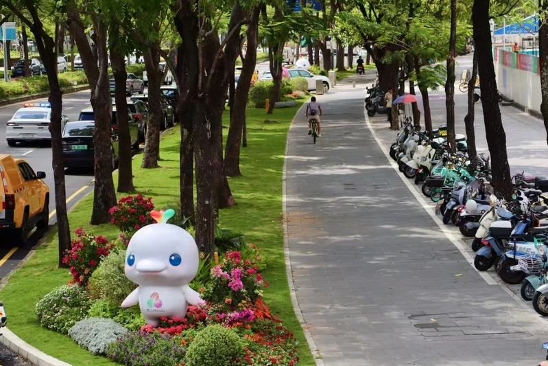 靓！迎接十五运，龙华花足了心思