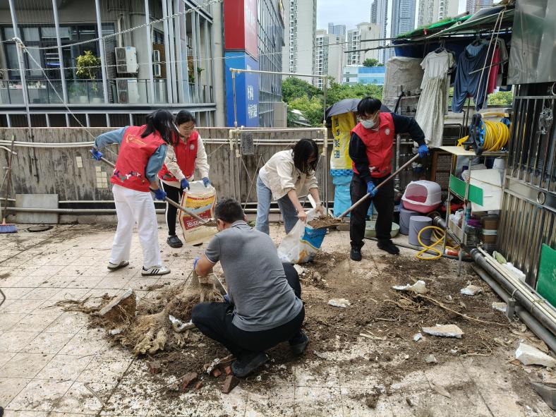 老旧小区“逆龄生长”！福田区福保街道将治理难题变幸福亮点
