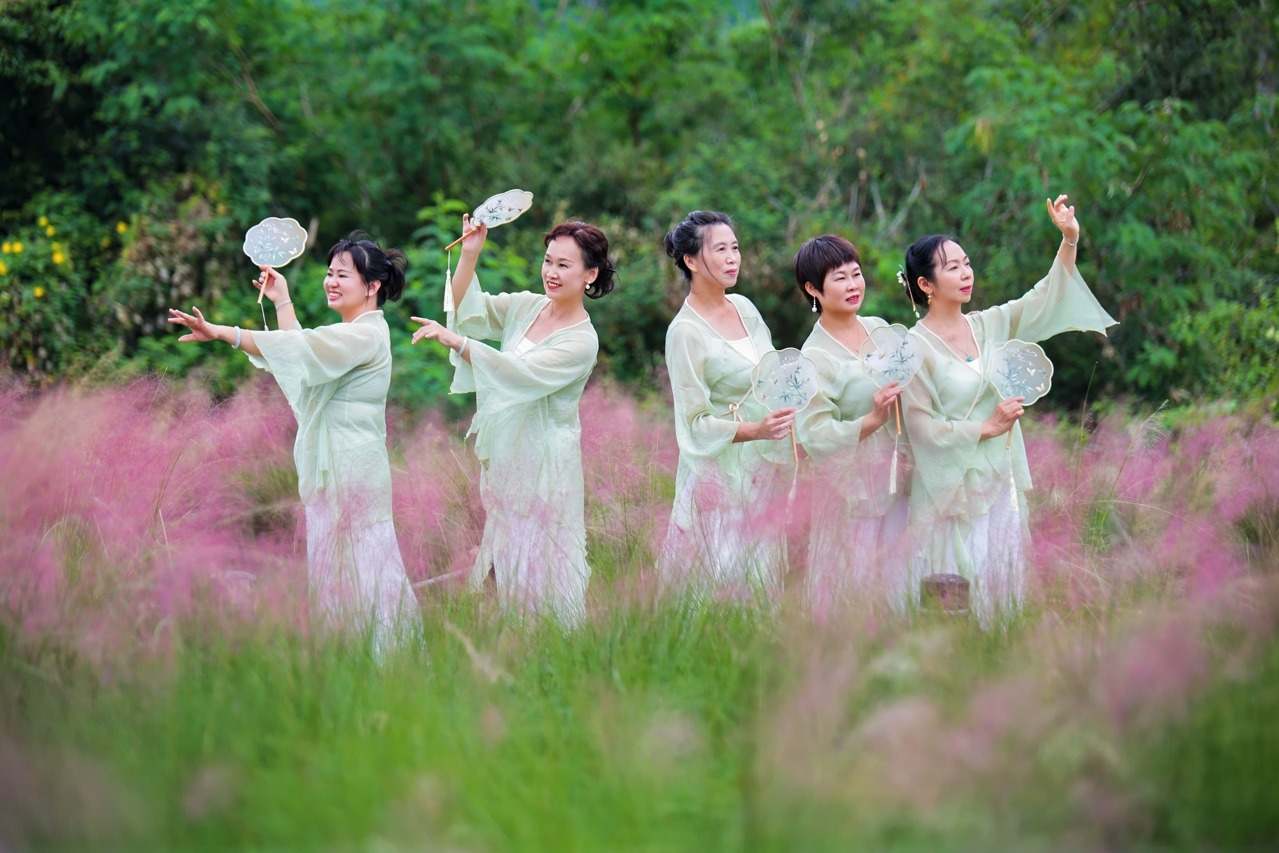 国风遇粉黛 万余名游客沉浸式打卡深圳南澳这片花海