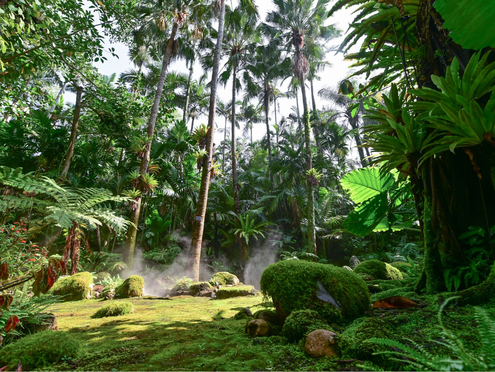 深圳公园文创获多项全国大奖 千园之城有了可收藏的城市记忆