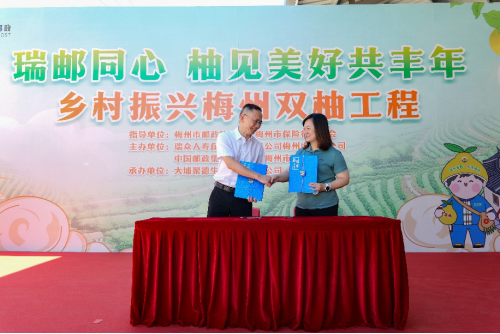 “柚见美好共丰年”！瑞众保险与中国邮政共启乡村振兴梅州双柚工程