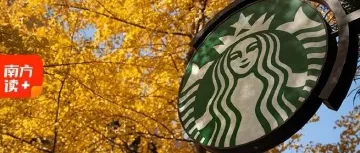 “星爸爸”在中国,找了个“新爸爸”