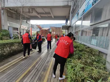 盐田区梅沙街道“志愿红”点亮民生“幸福色”