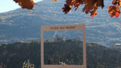 瑞士百年葡萄酒亮相上海进博会